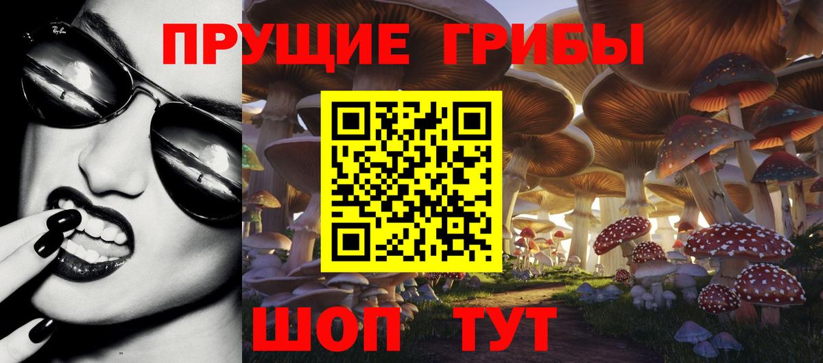 Галлюциногенные грибы Cubensis Ангарск