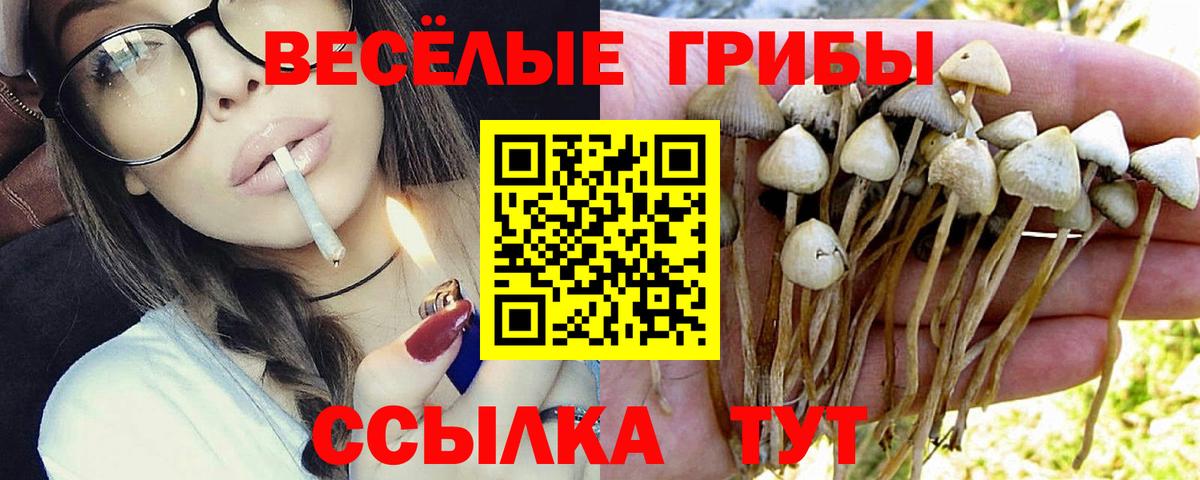 Псилоцибиновые грибы мухоморы  Вход с VPN  продажа наркотиков  Ангарск 